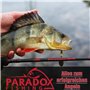 Paradox Fishing Épuisette caoutchoutée 1,7 m I Épuisette de pêche pour brochet, sandre, épuisette caoutchoutée