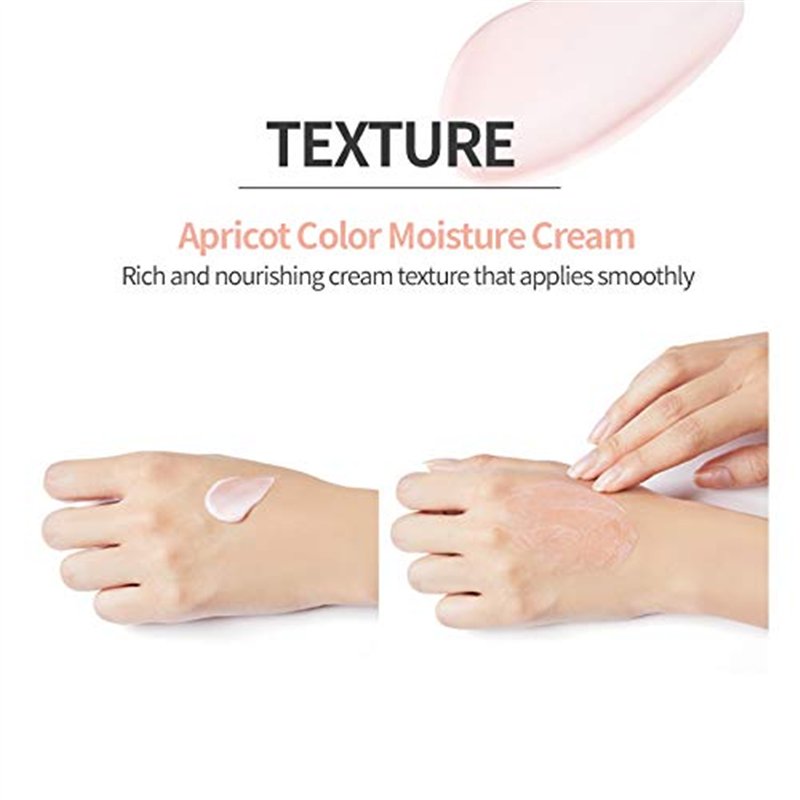 Casio Calculatrice Scientifique FX-570ESPLUS-2SETD