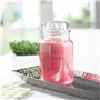 Yankee Candle bougie jarre parfumée | grande taille | Framboise rouge | jusqu’à 150 heures de combustion |Cadeaux de la fête des