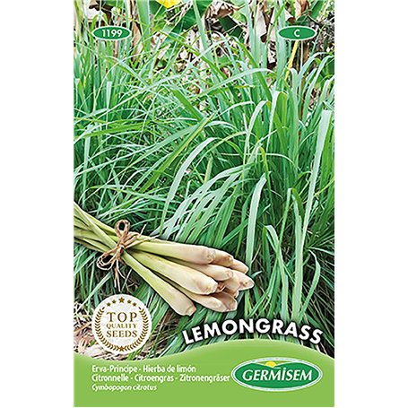 Lemongrass Seeds