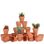 Lot de 28 Pots de Fleurs