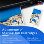 starink 301XL pour Cartouches HP 301 HP 301 XL Compatible avec DeskJet 2540 1010 1510 2050 2544 2510 1050A 1000 OfficeJet 2620 4