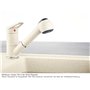 FRANKE 115.0030.731 Prince-115.0030 Robinet de Cuisine avec Un Pull Out Bec, White Polar, Grey