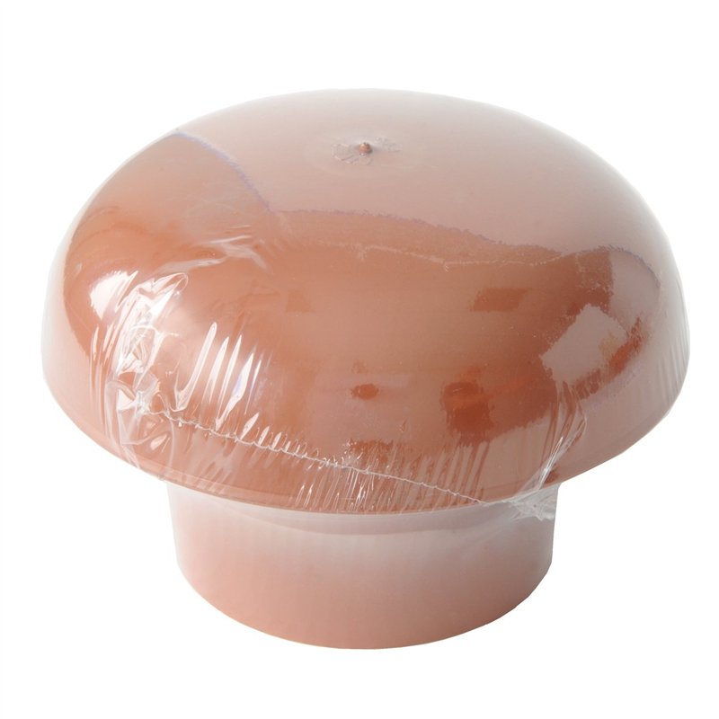 Image secondaire de First Plast cdvm100t Chapeau de ventilation tête esalatore, rouge, diamètre 100 mm