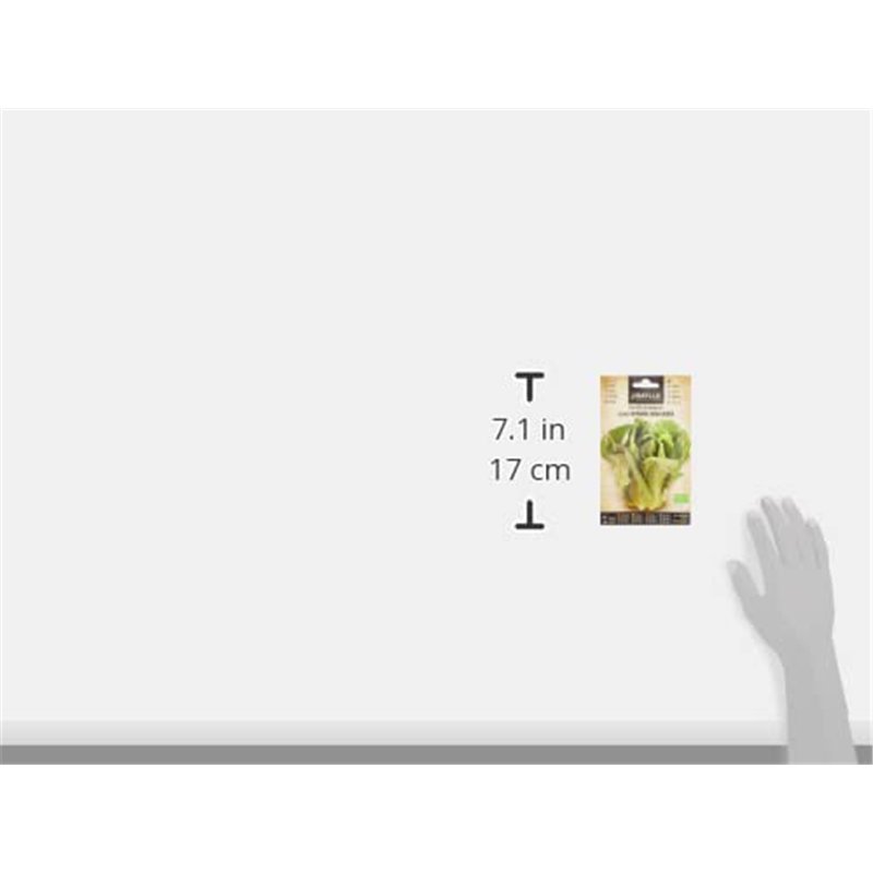 Image secondaire de Graines Bio de Batlle - Laitue Romaine Blonde (2g)