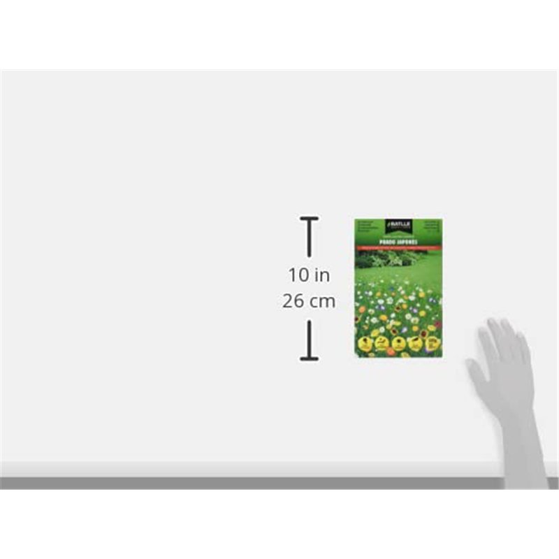 Image secondaire de Batlle Gazon Japonais