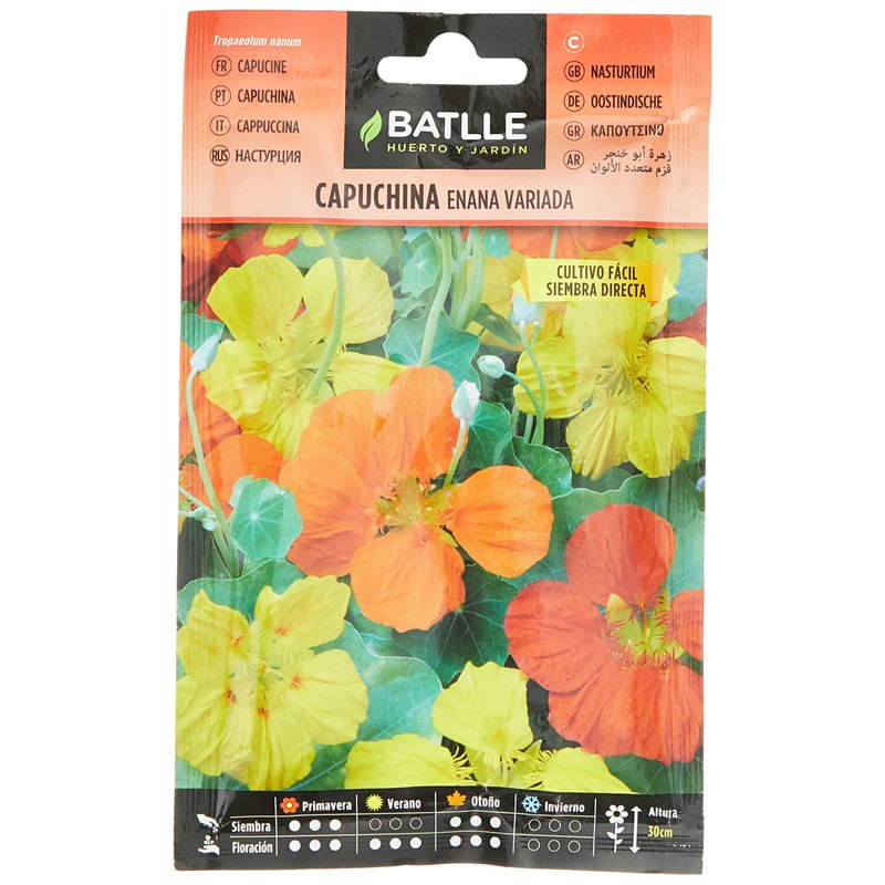 Batlle Capucine NAINE