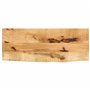 vidaXL Dessus de Table 70x40x2