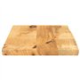 vidaXL Dessus de Table 40x20x3,8 cm Bord Vivant Bois Massif manguier, Dessus de Table en Bois, Dessus de Table d'appoint, Dessus