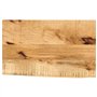 vidaXL Dessus de Table 40x30x3