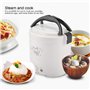 Cuiseur à Riz électrique 12V 100W 1.3 L électrique Portable Multifonctionnel Cuiseur à Riz Cuiseur à Vapeur Cuiseur à Vapeur pou