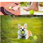 Animaux de Compagnie