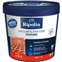 Anti-infiltrations toiture terre cuite - RIPOLIN - 4 L