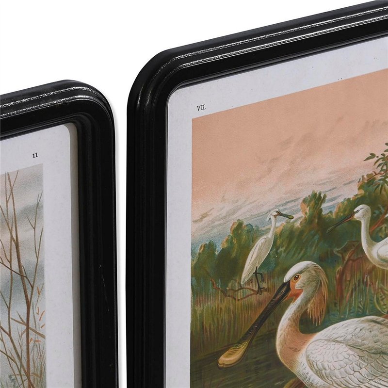 Image secondaire de Cadre DKD Home Decor Verre Bois MDF Oiseaux (40 x 50 x 1,8 cm) (6 Unités)