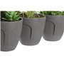 Plante décorative DKD Home Decor Gris Beige Polyéthylène Vert polypropylène (11 x 11 x 15 cm) (3 Unités)