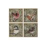 Cadre Home ESPRIT Vert Oiseaux Shabby Chic 50 x 2 x 50 cm (4 Unités)