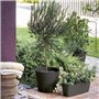 Jardiniere - DEROMA - Origin -  12 L - Grigio