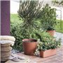 Pot de fleurs - DEROMA - Origin - 45 L - Terre cuite