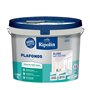 Peinture plafonds - Blanc mat - Sans trace - RIPOLIN - 10L