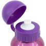 Bouteille d'eau Disney Princess CZ11260 530 ml Rose Aluminium