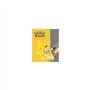 Ultra Pro - 84103 - Accessoire de jeu de cartes à jouer et à collectionner - Cahier Range-cartes Pokémon Générique 2013 - 80 Car