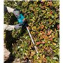 Taille-Haie LXT 18V 60CM (Produit seul) - MAKITA DUH607Z