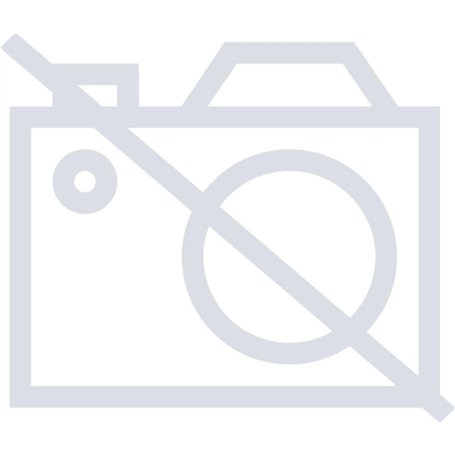 Fisher-Price Jouet éducatif pour bébés et Tout-Petits - Chiffres et Sorts Panda Liz - avec Musique Interactive et lumières - pou