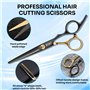 Ciseaux de Coiffure Professionnel Kit Ciseaux de Coiffure avec Etui de Pr