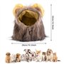 Chat Chien Perruque Chapeau Costume Creative Mignon Chien Chat Costume Accessoires de Photomaton Ac