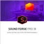 SOUND FORGE Pro 18 - L'éditeur audio tout-en-un | Logiciel audio | Programme musical | Pour Windows 10/11 PC | Licence pour 1 PC