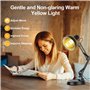 Rkdely Lampe Infrarouge Chauffante, Lumière Rouge Thérapie avec Grille De Protection - Jaune 150W à Température Réglable pour So