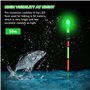 flotteurs de pêche LED