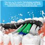 Qitizu Têtes de Brosse à Dents de Rechange Compatible avec Philips Sonicare, Brossettes électriques pour Diamond Protective Expe