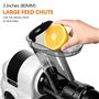 AMZCHEF Extracteur de jus à goulotte large de 80 mm - 150W extracteur de jus de fruits et légumes haute nutrition à mastication 