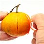 Éplucheur Pomme