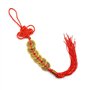 MaoNativey 5 pièces de Feng Shui pièces Chinoises de la Chance pièces de Feng Shui Nœud Chinois et Monnaie Porte-Bonheur en Form