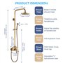 Système de Douche Rétro Doré
