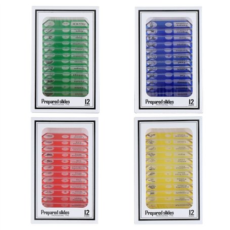 HUAREW 48 pièces ensemble de lames de Microscope préparées insectes animaux fleurs plantes échantillons d'échantillons en plasti