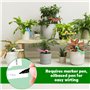 Riisoyu 6 Couleurs Étiquettes d'arbre, 300 Pièces Étiquettes de Plantes en Plastique Reutilisable Suspendus Étiquettes Plantes R
