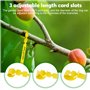 Riisoyu 6 Couleurs Étiquettes d'arbre, 300 Pièces Étiquettes de Plantes en Plastique Reutilisable Suspendus Étiquettes Plantes R