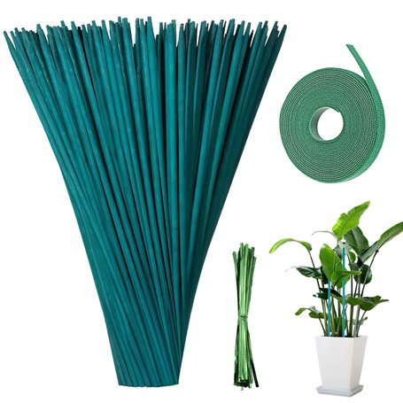 mizikuu 50 Pièces Tiges de Support pour Plantes