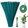 mizikuu 50 Pièces Tiges de Support pour Plantes