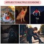 Yizhet 5 Pcs Pendentif Lumineux Clignotant LED Collier Silicone Chien Chat