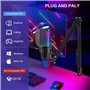 USB Gaming Micro, RGB Microphone à Condensateur, Micro Gaming avec Bras, Micro Streaming pour Mac PS4 PS5, pour Le Streaming Les