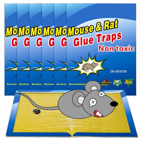 Wanke Piège à Souris Pièges à Rats