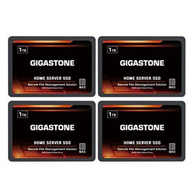 Gigastone Serveur SSD 1To (Lot de 4) NAS SSD Cache 24h/24