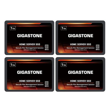 Gigastone Serveur SSD 1To (Lot de 4) NAS SSD Cache 24h/24