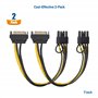 Cable Matters Lot de 2 câbles SATA 15 broches mâle vers 8 broches 18cm(d'alimentation (6+2) 8 broches vers SATA/Câble PCIe 6 bro