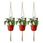 4PCS Suspension Macramé pour Plante, Corde de Coton Plante Cintre, Tissés à la Main Porte Pot de Fleurs pour Maison Bureau Balco