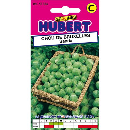 Graines de Chou de Bruxelles Sanda - 2 grammes